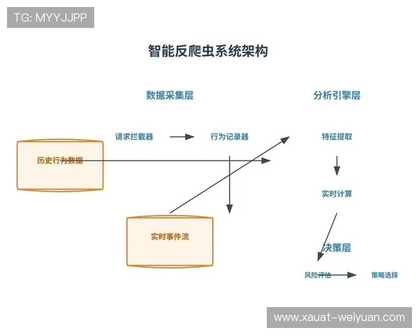 杭州排球队与深圳排球队赛后复盘分析比赛节奏与战术对抗的深度探讨